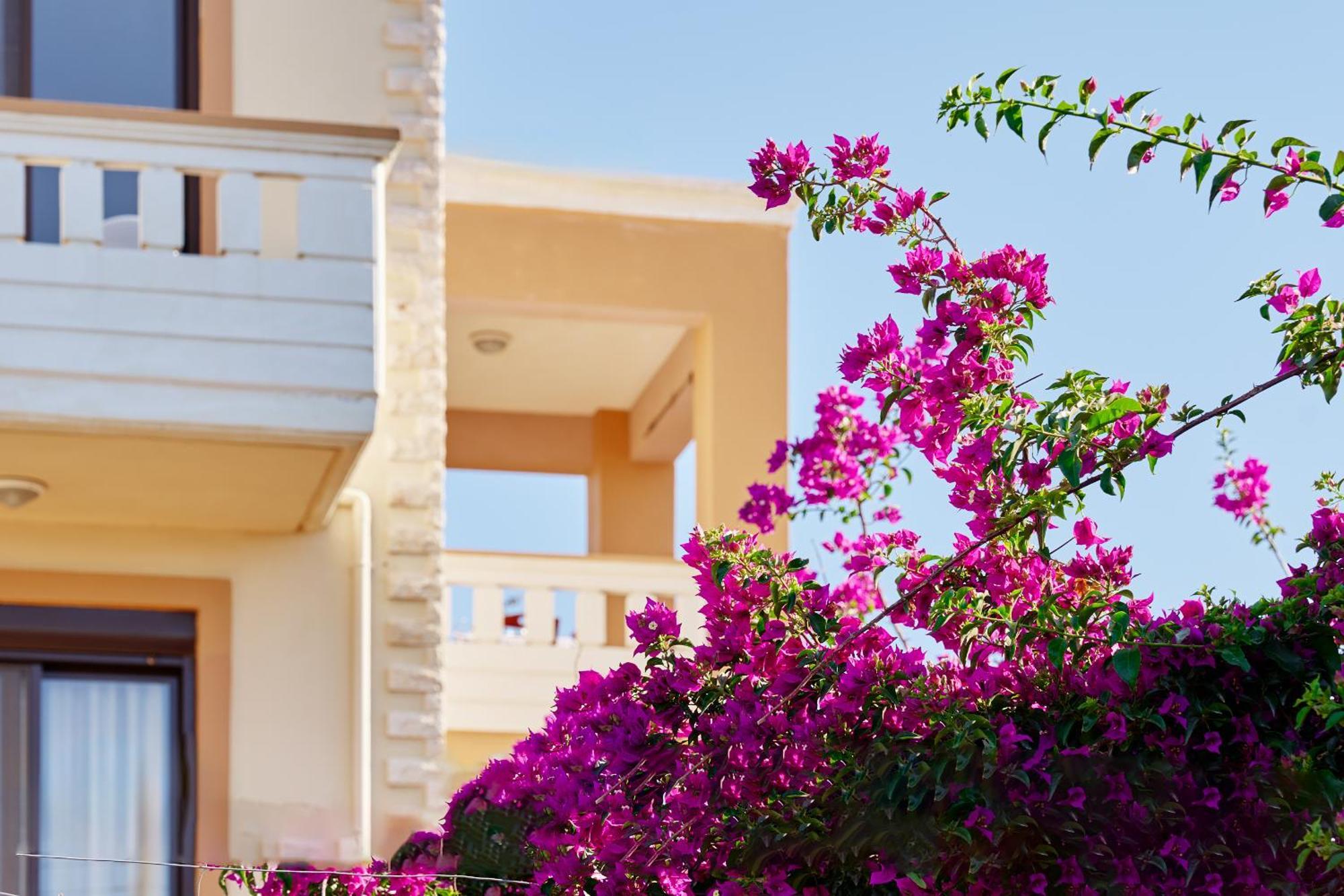 Villa Gereoudis Seaview Apartments-Pool & Bar Kolymbari Dış mekan fotoğraf